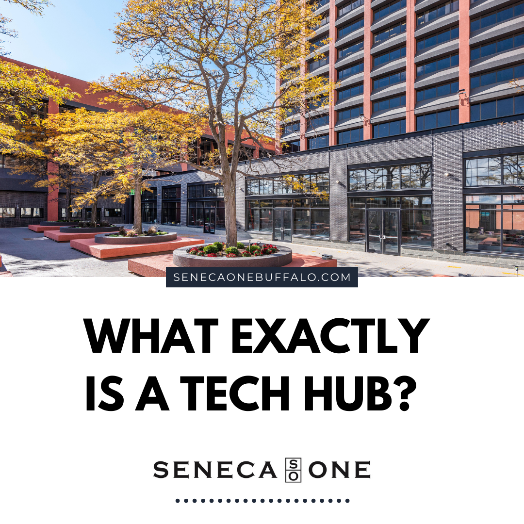 What exactly is a tech hub?